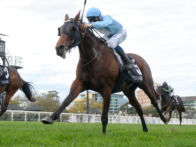 Let'sbefrankbaby ridden by Ethan Brown wins the JRA Handicap at Caulfield Racecourse on May 11, 2024 in Caulfield, Australia. (Photo by Brett Holburt/Racing Photos via Getty Images)