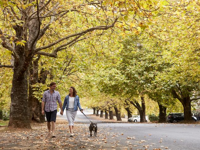 NSW MAIN - Couple enjoying a walk through tree-lined Sampson Street in Orange. Picture: Destination NSW