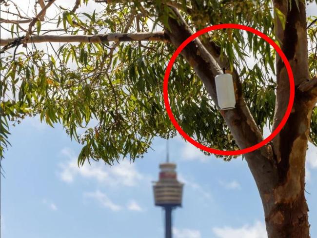 The 200 small white cans taking Sydney’s temperature 3 million times