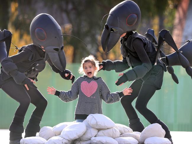 Bugs alive media preview at Melbourne Museum. Lorena, 7, from Coburg, meets the giant ants.  Picture: Alex Coppel.