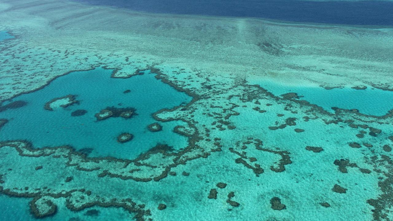 At a World Heritage Committee meeting chaired by China, delegates voted not to downgrade the reef to ‘in danger’, after a concerted lobbying effort by Canberra. Picture: Sarah Lai/AFP