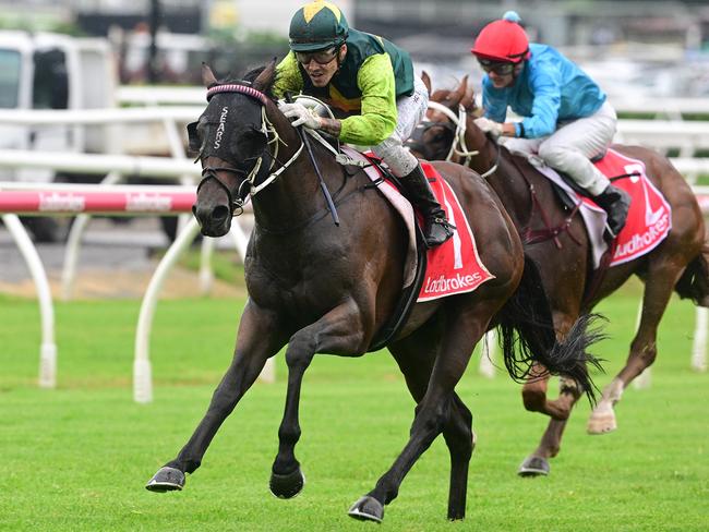 Beau Dazzler underlines his 2025 Group 1 Queensland Derby potential by scoring the Group 3 Grand Prix Stakes at Eagle Farm. Picture: Grant Peters, Trackside Photography.