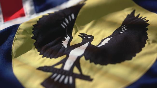 Piping shrike emblem on flag of South Australia.