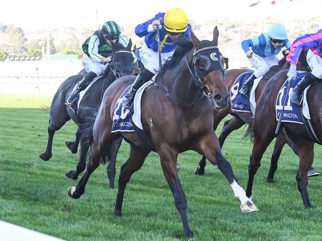 Who Dares ridden by Patrick Moloney wins the Hilton Nicholas Straight Six at Flemington Racecourse on May 18, 2024 in Flemington, Australia. (Photo by Brett Holburt/Racing Photos via Getty Images)