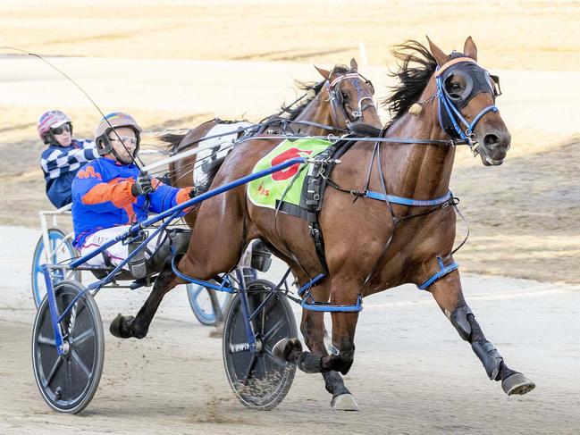 Race 4: Neatline Homes Shepparton Gold Cup, Saturday 8-1-2021 Hunter Rural Mercury80 (2nd Heat) (Nr 70 to 79.) Winner: Boncel Benjamin (6) Trainer: Michael Stanley; Driver: Ryan Duffy Race Distance: 1,190 metres, Last Half: 56.7 photography: Stuart McCormick