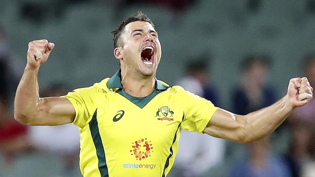 CRICKET - 09/11/18 - ODI - Australia v South Africa at The Adelaide Oval. Marcus Stoinis claims the wicket of Dale Steyn bowled for 3 runs. Picture SARAH REED