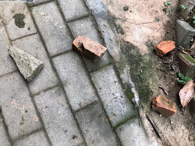 Rocks and bricks used to stone the kangaroos pictured at Fuzhou Zoo in southeastern China.