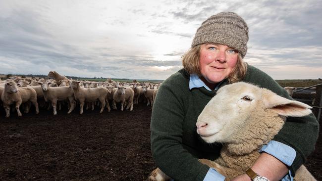 Tasmanian sheep farmer Louisa Street checks a shipment of fat, healthy lambs at her Cressy property before they are collected for foreign export. Picture: Amy Brown