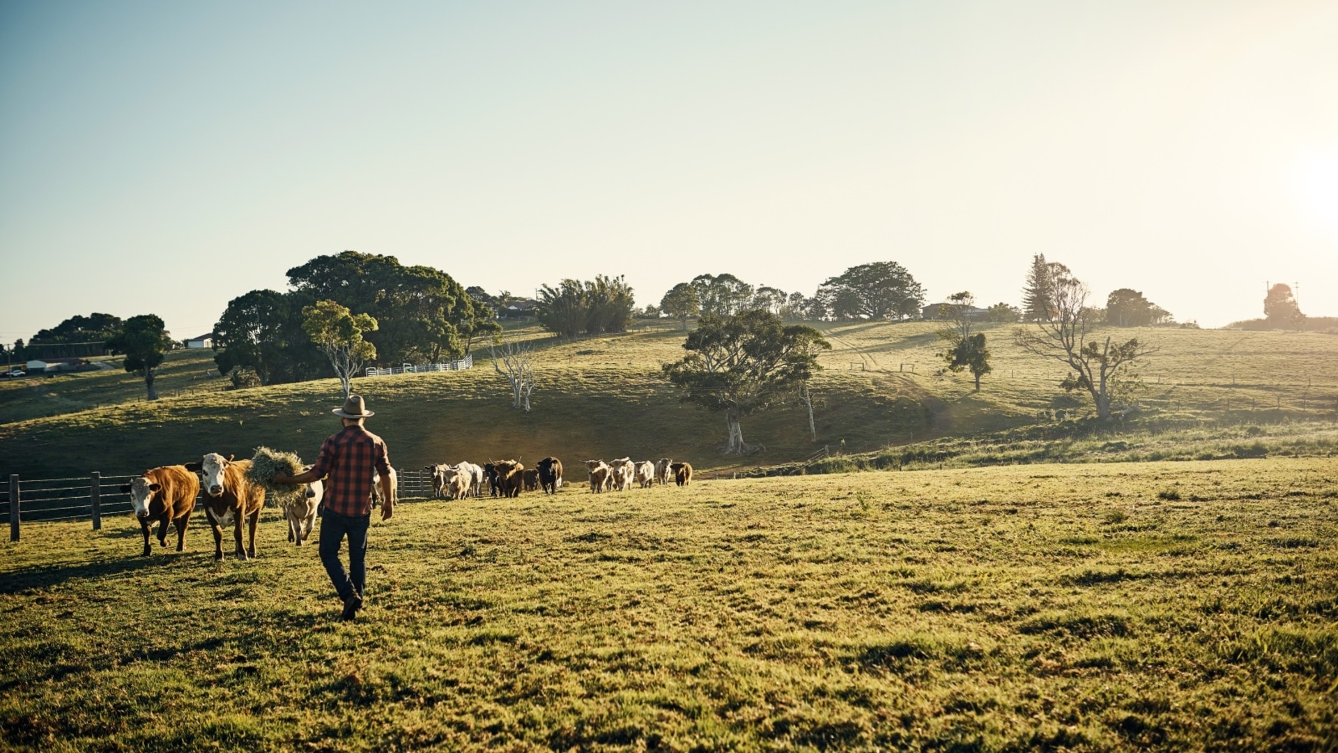 Australian farmers being treated with ‘absolute disdain’: Ian Plimer
