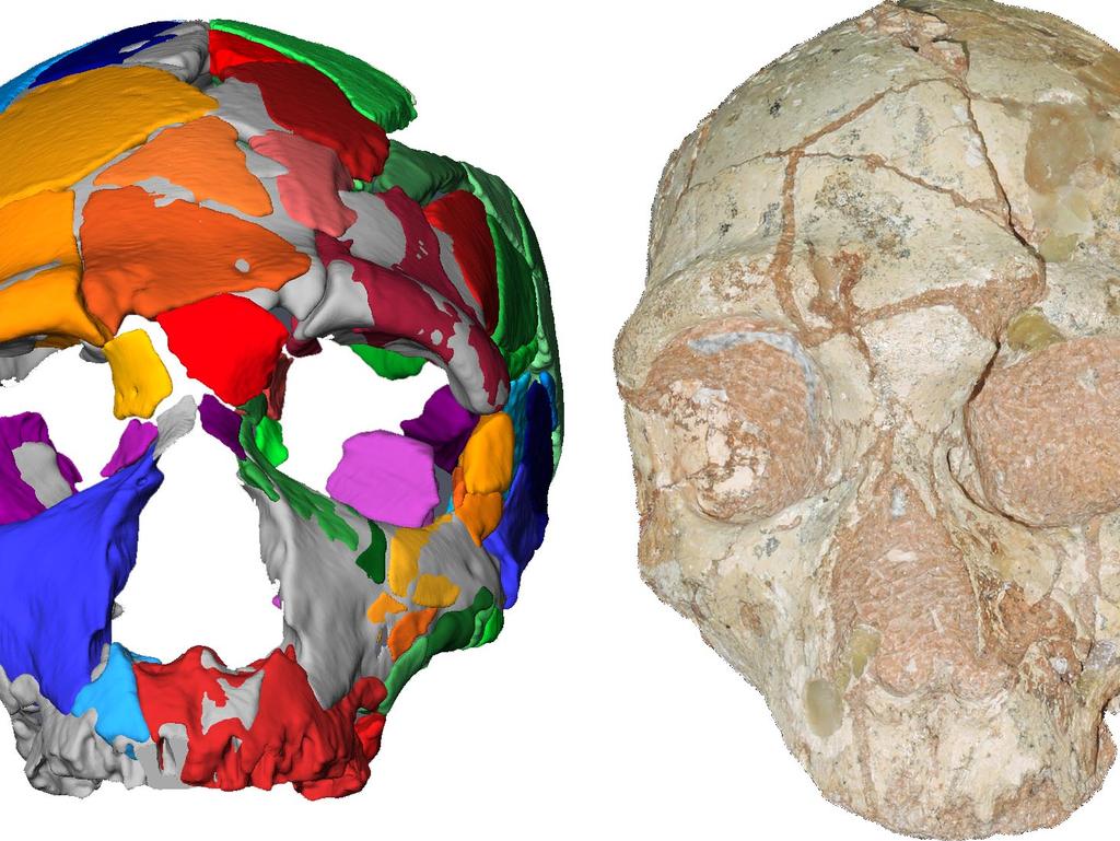 A computer model (L) of a Neanderthal skull discovered in a Greek cave. Picture: Katerina Harvati/Eberhard Karls University of tuebingen/AFP