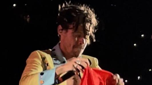 Harry Styles delighted fans in Sydney when he held up the Aboriginal flag.