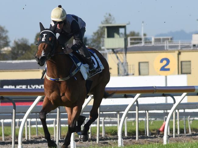 Photo credit:Greg Irvine, Magic MillionsHoutzen wins barrier trial at the Gold Coast on Monday morning.