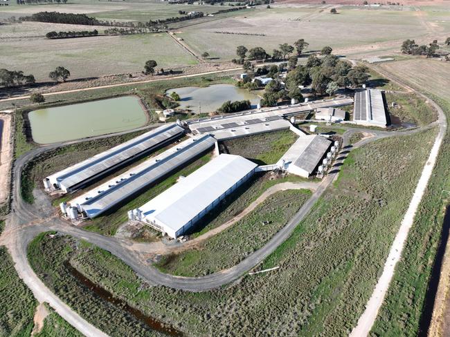 Midland Bacon piggery in northern Victoria. Picture: Supplied