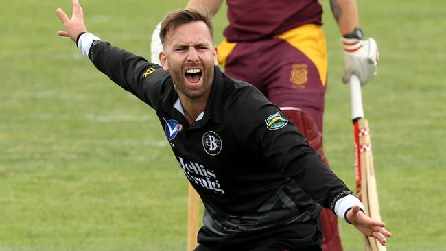 Matt Doric appeals for a wicket. Picture: Stuart Milligan