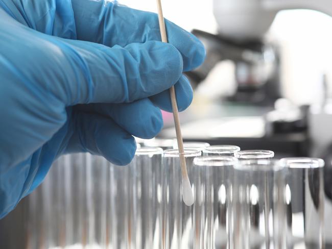 Scientist wearing protective gloves examining dna samples holding cotton stick close-up