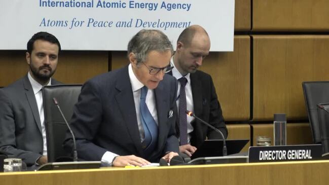 IAEA Director Makes Plea to ‘Protect’ Zaporizhzhia Nuclear Power Plant After Russian Strikes Cut Off Power