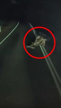 Eerie moment driver comes across a bizarre scene on remote WA road