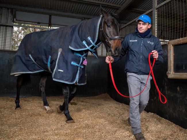 Adam Trinder and his horse Jerilderie Letter. Picture: Mark Dadswell