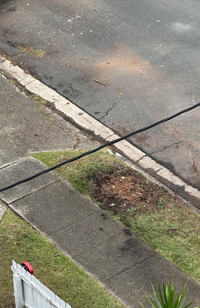 What was left of the tree on Friday morning. Picture: Supplied.