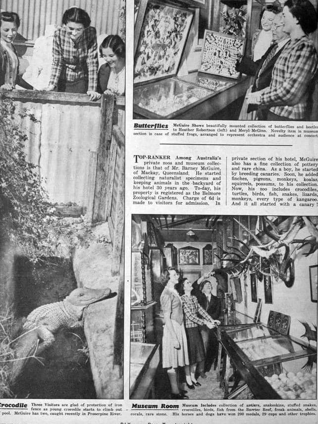 Barney McGuire junior opened a zoo at the back of the Belmore Arms Hotel on Wood St in Mackay which was later renamed to McGuires Hotel. Picture: Pix Magazine, September 1941