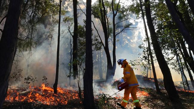 Rural Fire Brigade members perform a hazard reduction burn at Molendinar. Picture Glenn Hampson.