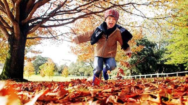 You can run wild and so can the kids at Centennial Park.