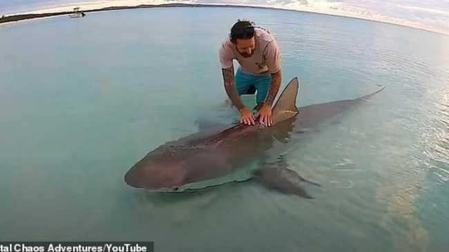 The 10-foot shark reportedly caught off Fraser Island.