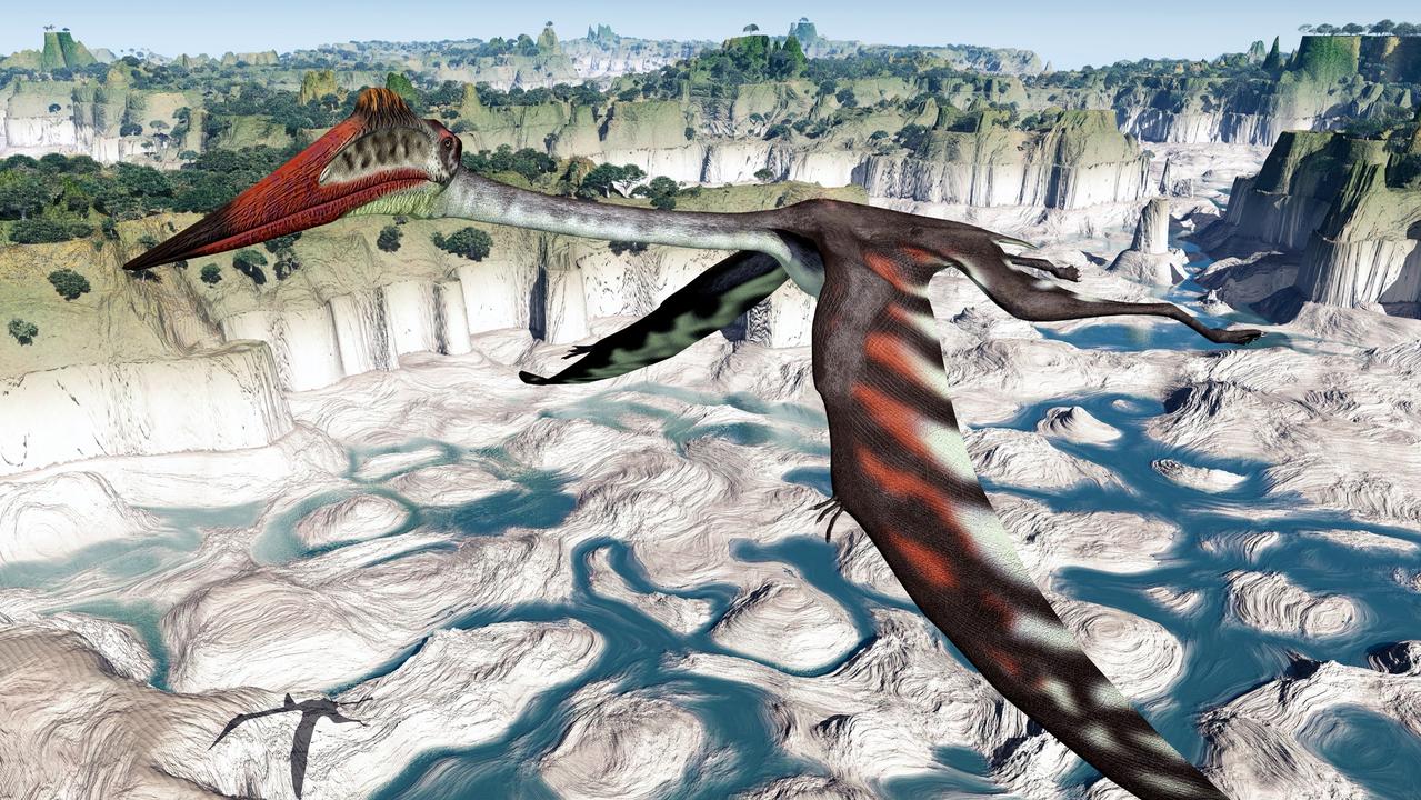 Fossil of oldest pterodactyl discovered in Utah desert