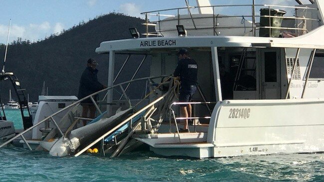 A tiger shark is retrieved from Cid Harbour after being caught in the drum lines following two attacks.