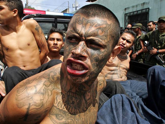 Members of the Mara Salvatrucha, above under arrest in Guatemala, are part of one of the world’s most vicious and deadliest gangs. Picture: AFP/Orlando Sierra.