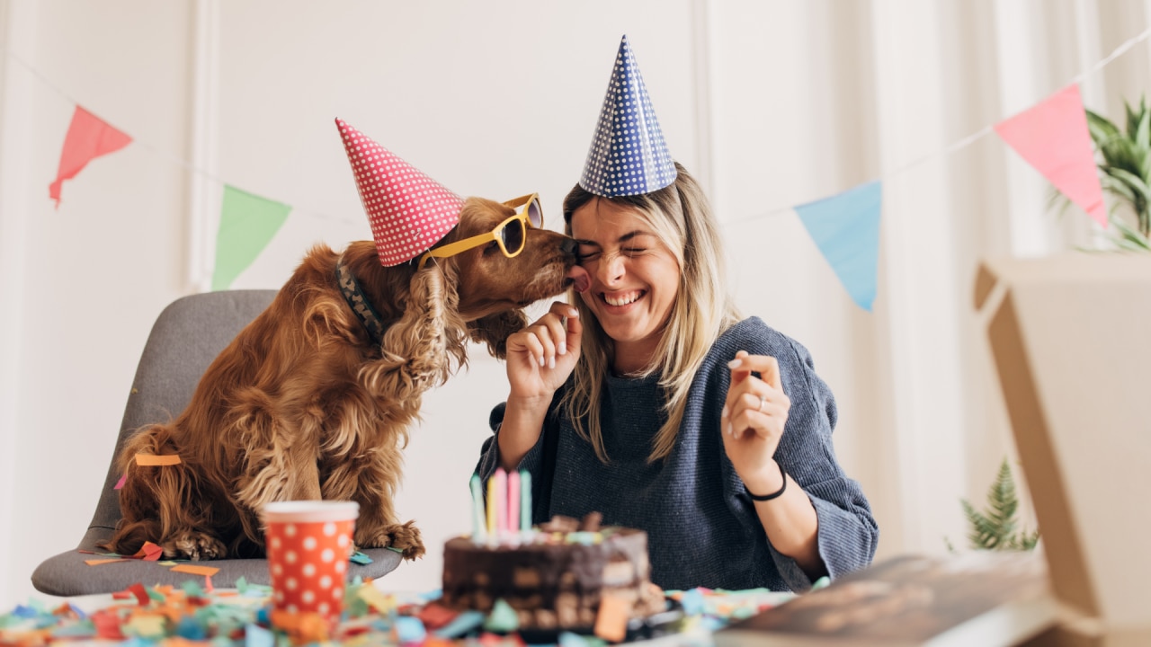 Birthday party best sale for my dog