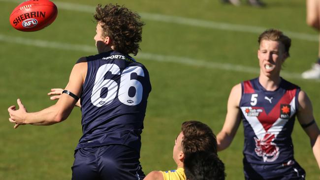 Charlie McKay (left) fights it out for Sandringham Dragons. Picture: Stuart Milligan