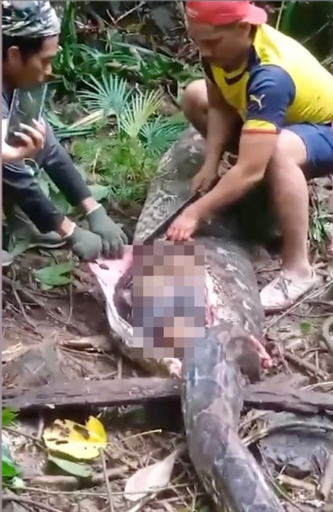 Such incidents are rare but have occurred in Indonesia before, with several cases in recent years where people were swallowed whole by large pythons. Picture: Viral Press