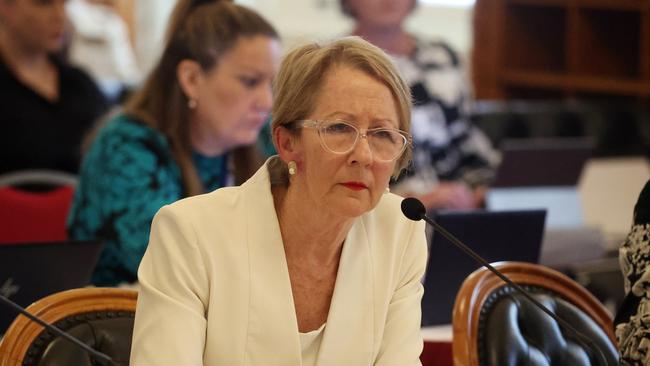 Minister for Education Di Farmer. Picture: Liam Kidston