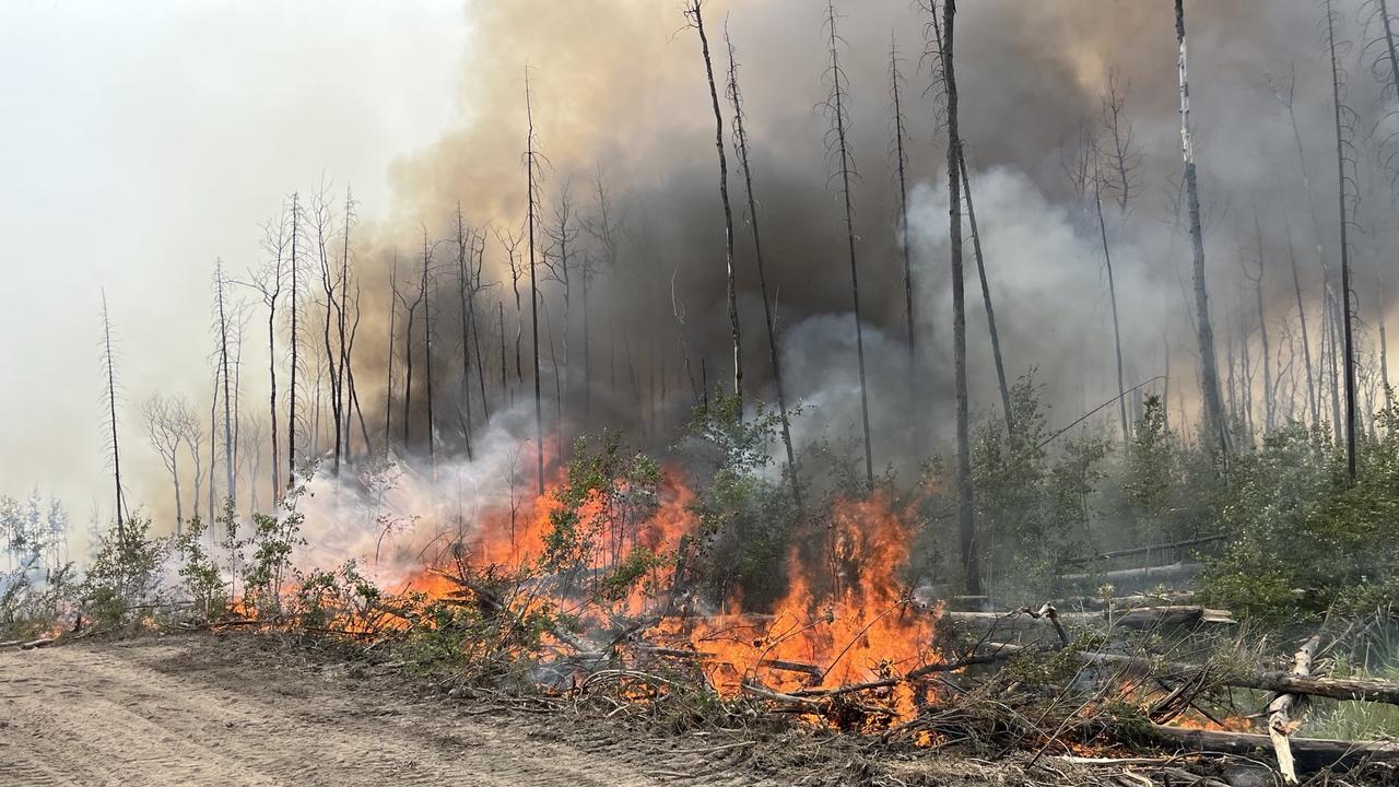 The 2023 Canadian Wildfires have destroyed more than 13.25 million hectares of forest, or about 4 per cent of Canada’s total forest area.