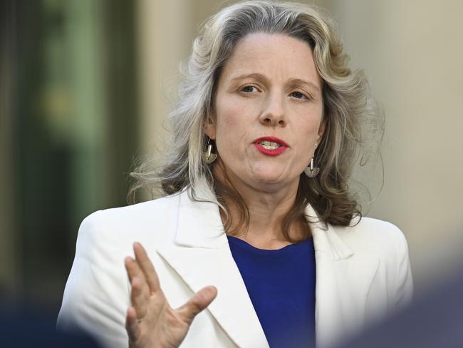 CANBERRA, AUSTRALIA, NewsWire Photos. MARCH 27, 2024: Minister For Home Affairs, Clare O'neil and Minister For Immigration, Citizenship And Multicultural Affairs, Andrew Giles hold a press conference at Parliament House in Canberra. Picture: NCA NewsWire / Martin Ollman