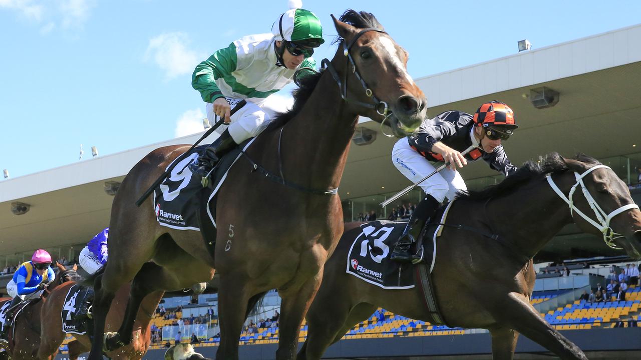 Sydney Racing - Golden Rose Day