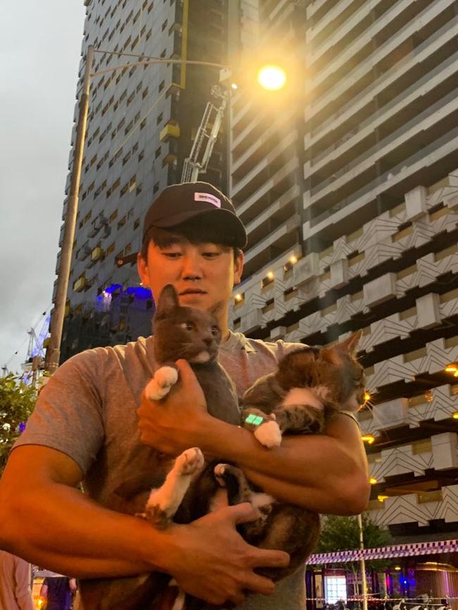 Youngjin Kim with his cats.