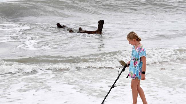 Cyclone Alfred has eroded the sands at Dicky Beach to reveal the SS Dicky. Out with her metal detector is Zoe Sorm. Picture Patrick Woods.