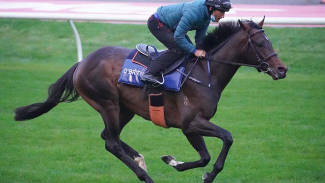 Damien Oliver gallops Russian Camelot at the Valley last Saturday.