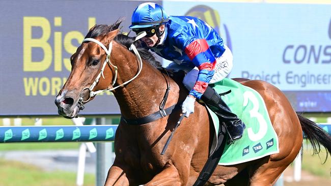 Chinny Boom returned in dominant fashion at the Gold Coast on Saturday. Picture: Grant Peters / Trackside Photography.