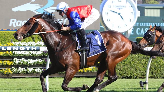 Hilal has performed very well against Anamoe and Converge in recent starts. Picture: Grant Guy