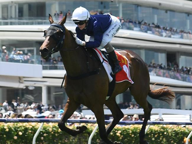 Jamie Kah guides The Map to a dominant win at Flemington on Melbourne Cup day. Picture: Quinn Rooney-Getty Images