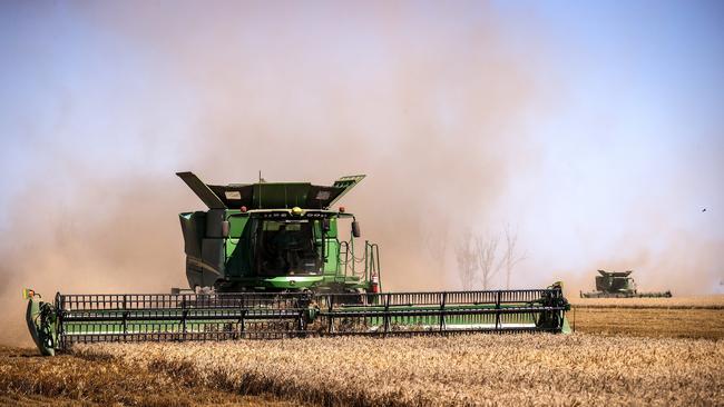 China has been buying Australian wheat at record numbers despite sanctions against other grains including barley.