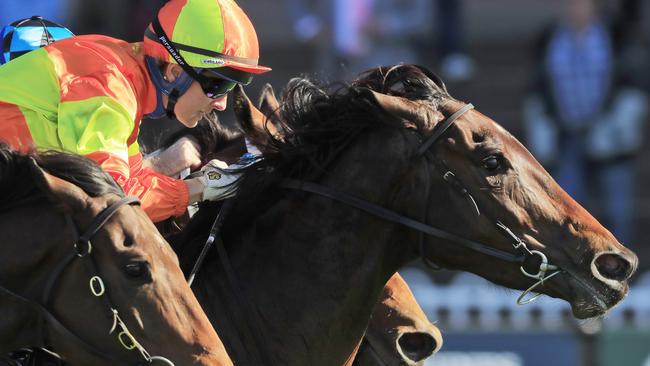 Duggan salutes at Rosehill Gardens last year.