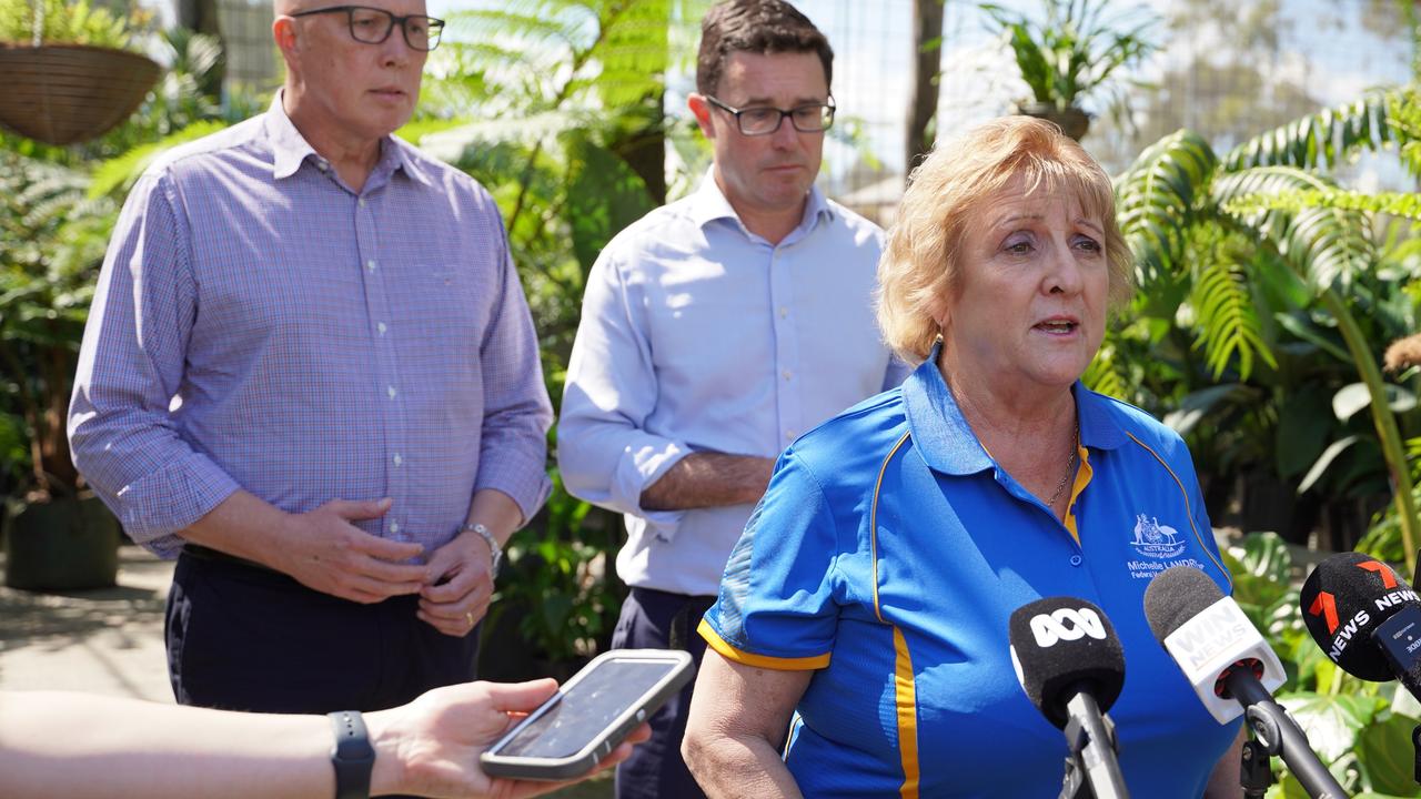 ‘Not a total divorce forever’: Nats MP reassures LNP split better for all