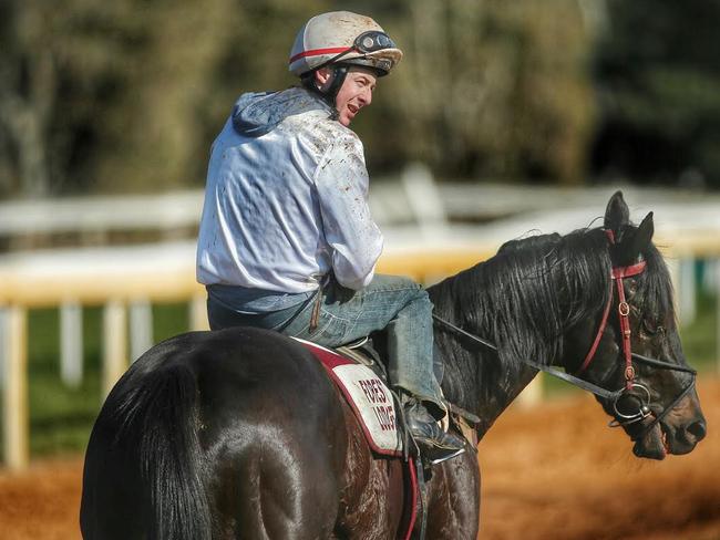 Harry Coffey, who rode last year’s Melbourne Cup winner Prince Of Penzance in the Memsie Stakes at Caulfieldin August, is CommBank’s Australian of the Day. Picture: Colleen Petch.