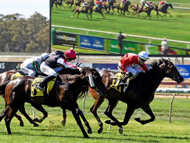 Noel Callow and Thrillster (red silks) make their presence felt in the VOBIS Gold Rush at Bendigo on April 7. Picture: AAP