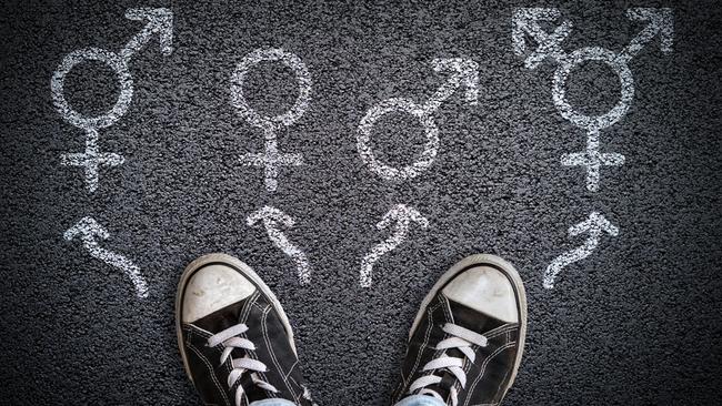 Library staff should use non-gendered and check in with children about their preferred pronouns, according to new taxpayer-funded guidance for Victorian public libraries. Picture: iStock