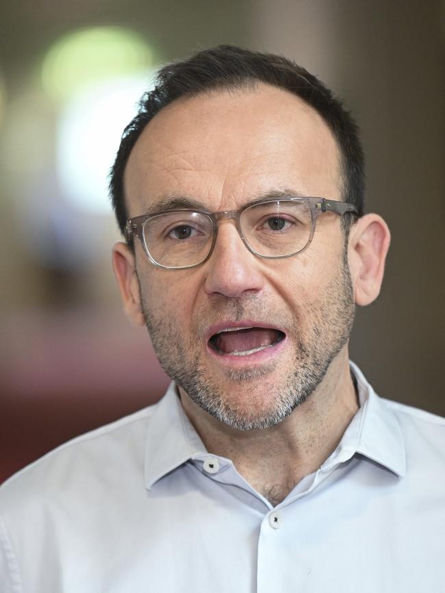 Leader of the Australian Greens Adam Bandt. Picture: NewsWire / Martin Ollman